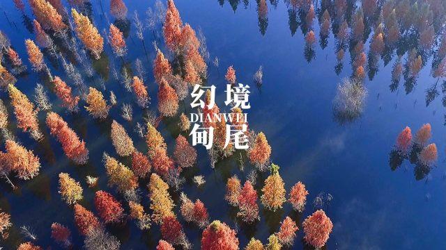 备孕必喝的虫草海马护阳汤