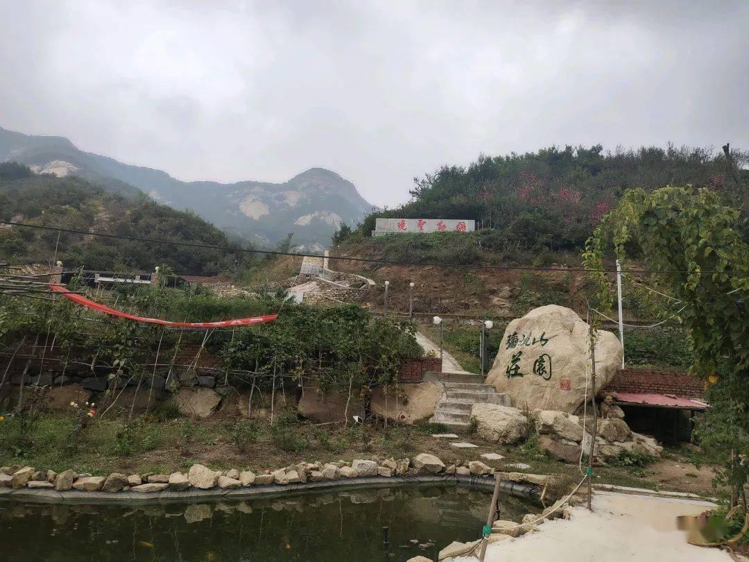 大棚蔬菜迎来丰收季　农民腰包鼓起来了