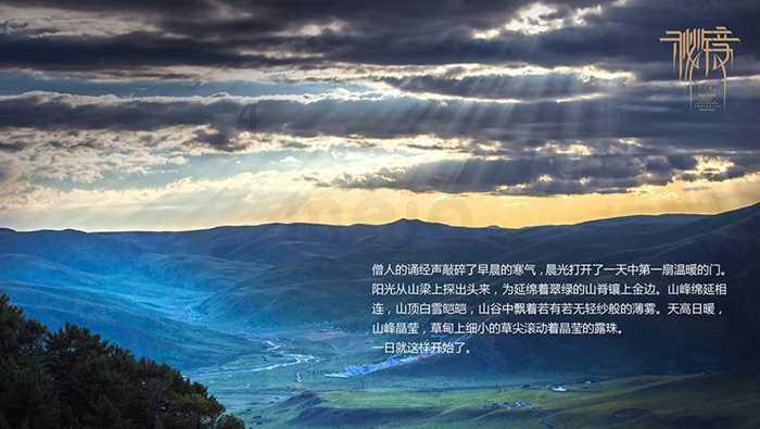 2023金旗奖复盘访谈:大连老虎滩海洋公园有限公司副总经理 刘鹏