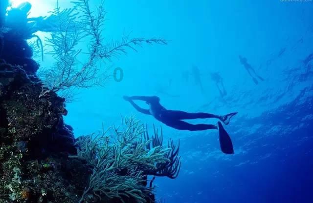 海南州公安机关 海南州应急管理部门依法严厉打击烟花爆竹违法犯罪线索举报的通告