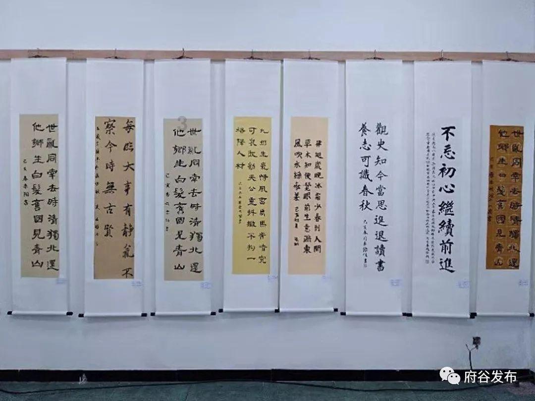 玖玖环保小达人