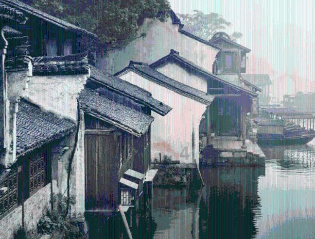 有问必答——为你解决疑惑的玄凤鹦鹉40天了可以离开父母了吗?平台